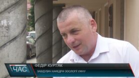 Сезон змій: як уберегтися від укусу