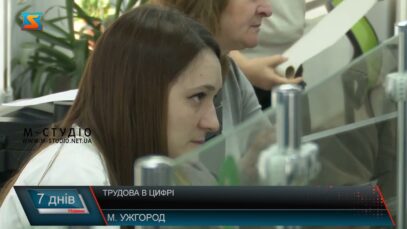 Трудова в цифрі