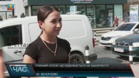 Грибний сезон: що відбувається на Закарпатті?