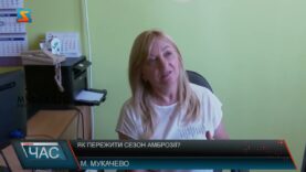 Як пережити сезон амброзії?