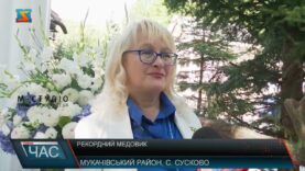 Рекордний медовик
