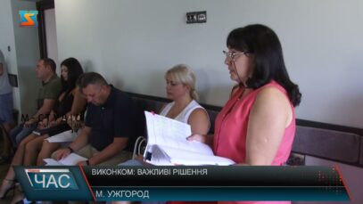 Засідання виконавчого комітету